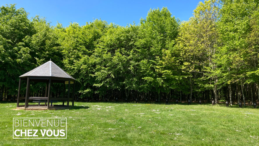 Bois de la paix 2 Réseau des médias de proximité